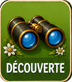 Découverte